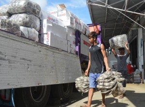 Volunteers at the DSWD Tacloban hub load relief goods to one of the trucks provided by UN-WFP.