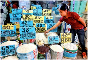 lila-shahani-rice