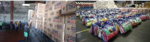The DSWD Central Office recently sent a total of 19,500 family food packs and 6,500 dignity kits to Field Office V for distribution to the families affected by the eruption of Mayon Volcano.