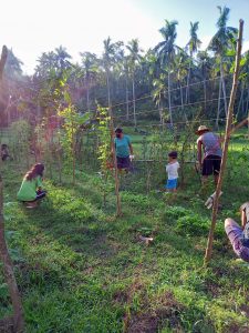 Arlyn Mandia, a barangay health worker and a Pantawid Pamilyang Pilipino Program beneficiary, and her family engage in backyard gardening to augment their income and share their harvests with the community.