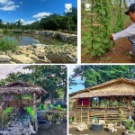 A 3,000-cubic-meter small farm reservoir was constructed in Barangay Luga, Sta. Teresita town in Cagayan province under the Department of Social Welfare and Development's (DSWD) Project LAWA (Local Adaptation to Water Access) and BINHI (Breaking Insufficiency through Nutritious Harvest for the Impoverished). Near the vicinity, the partner-beneficiaries constructed 13 bahay kubos or nipa huts which serve as an ecotourism attraction and source of livelihood to community members.