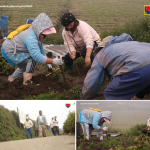 Real Life Stories - Connecting mountain farmers to market through DSWD’s KALAHI-CIDSS